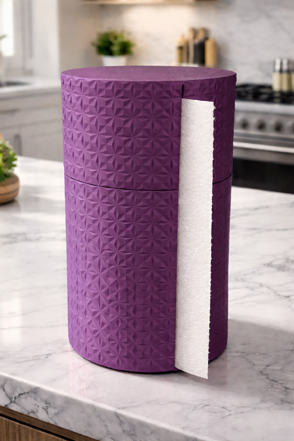 Paper towel holder