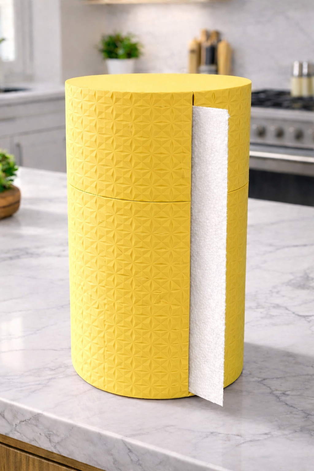 Paper towel holder