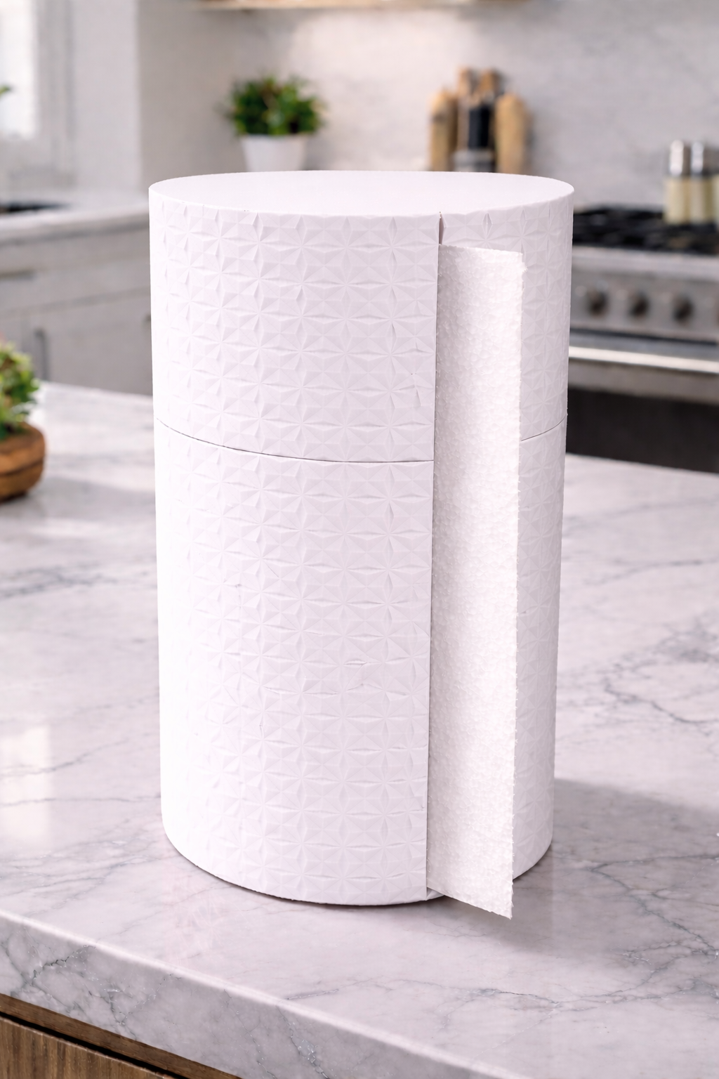 Paper towel holder